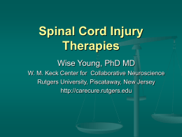 Spinal Cord Injury Therapies: Decade of the Spinal Cord