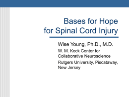 PowerPoint Presentation - Bases for Hope for Spinal Cord