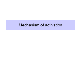 Mechanism of activation