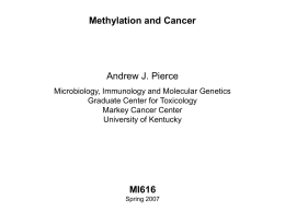 Methylation - Andrew Pierce -- Powerpoint Lectures