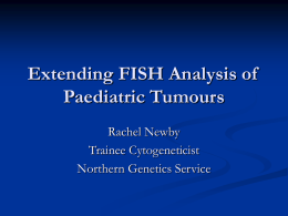 Extending FISH Probes for Paediatric Tumours