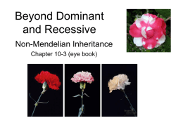 Beyond Dominant and Recessive
