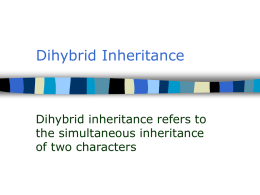 Dihybrid Inheritance - Waupun School District