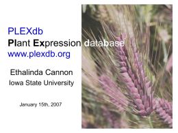 PLEXdb - Plant Expression Database