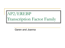 AP2/EREBP Transcription Factor