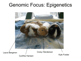 The Proteomics of Epigenetics