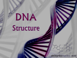 DNA - PBworks