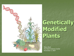 Genetically Modified Plants - Georgia Public Broadcasting