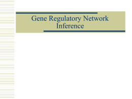 Biological Gene and Protein Network