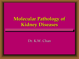 Genetic Study of Polycystic Kidney Disease