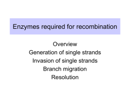 Enzymes required for recombination