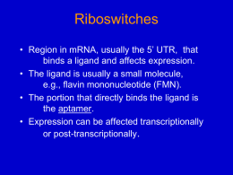 Extensive and global regulation of transcription Shifts in