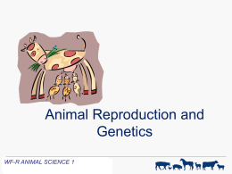 Animal Reproduction and Genetics