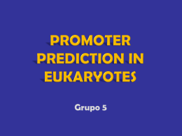 Promoter prediction in eukaryotes