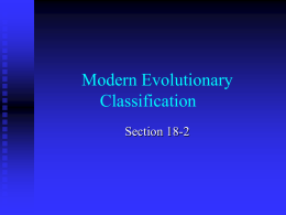 Modern Evolutionary Classification