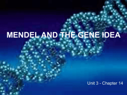 MENDEL AND THE GENE IDEA - Bio-Guru