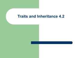 Traits and Inheritance 4.2