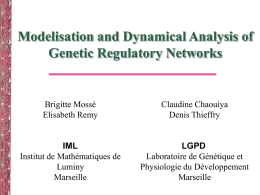 A Description of Dynamical Graphs Associated to Elementary