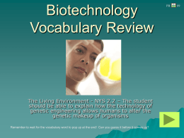 Mitosis Vocabulary Review