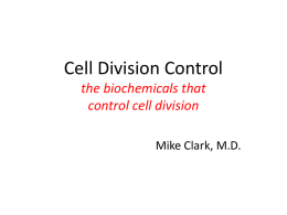 Cell Division Control the biochemicals that control cell