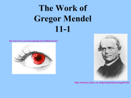 Mendel Discovers “Genes” 9-1