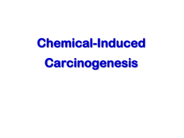 Chemical Carcinogenesis - Welcome to the Laboratory of