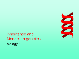inheritance and Mendelian genetics