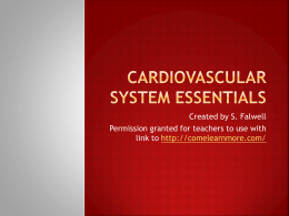Cardiovascular System Essentials