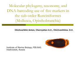 Molecular phylogeny, taxonomy, and DNA