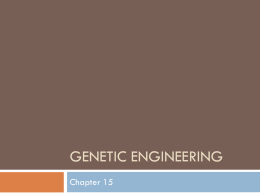 Timeline of Genetic Engineering
