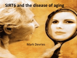 SIRT6 and its role in aging - Genetics 564 redirect page