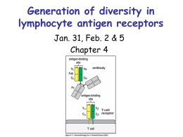 Generation of diversity in lymphocyte antigen receptors