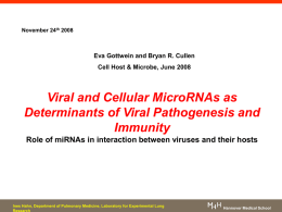 Review Viral and Cellular MicroRNAs as Determinants of