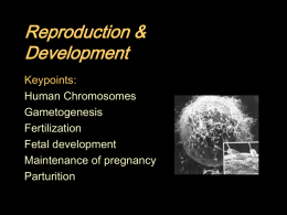 Ch 24: Reproduction & Development