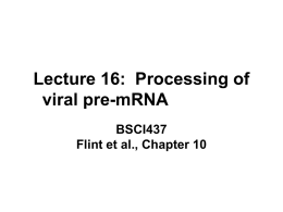 Lecture 15: Processing of viral pre-mRNA