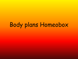 Body plans Homeobox - Sir Joseph Williamson