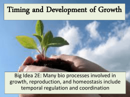 Timing and Development of Growth