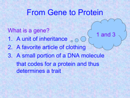 From Gene to Protein - South Kingstown High School