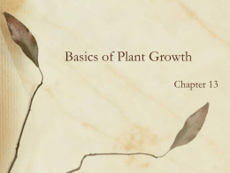 Basics of Plant Growth - Modesto Junior College