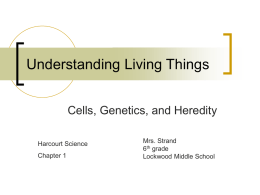 Understanding Living Things - Lockwood School in Billings, MT