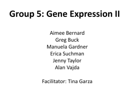 Group 4: Gene Transcription 2