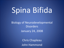 Spina Bifida - ContentEdits.com by Infomedia