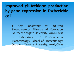Improved glutathione production by gene expression in
