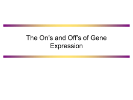 The On’s and Off’s of Gene Expression
