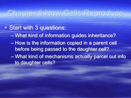 Chapter 9 How Cells Reproduce