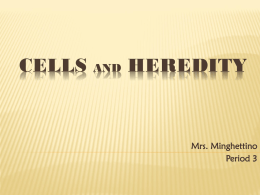 CELLS and HEREDITY - East Maine School District 63