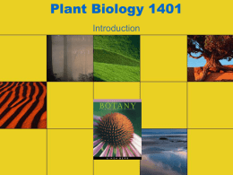 Plant Biology 1401 - Texas Tech University