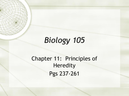 Biology 105