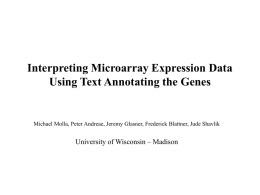 Interpreting Microarray Expression Data Using Text
