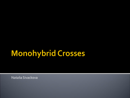 Monohybrid Crosses - Life is a journey: Mr. T finding his way